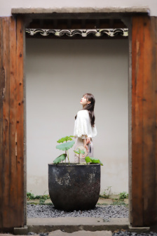 流星雨电视剧